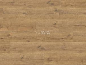 Ламинат Haro Tritty 100 Gran Via 4V ДУБ ПОРТЛЭНД НАТУР 533141 фото 1 | FLOORDEALER